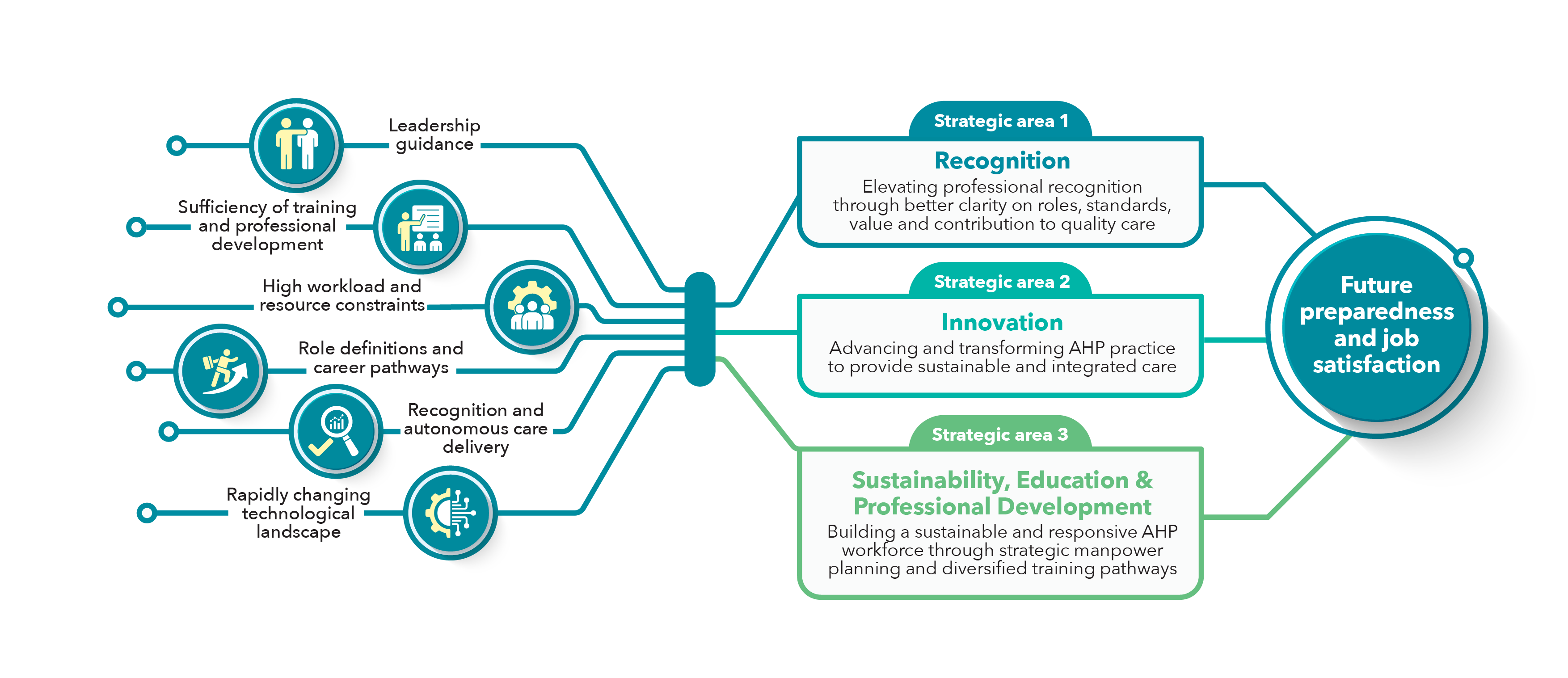 Key findings that informed the 3 Strategic Areas of NAHS.